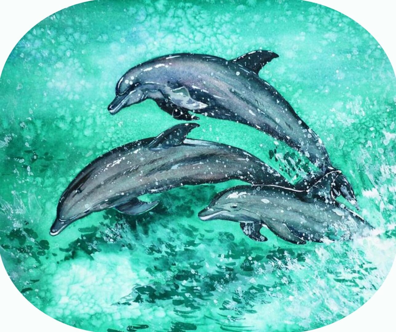 Dolphins on the Beach