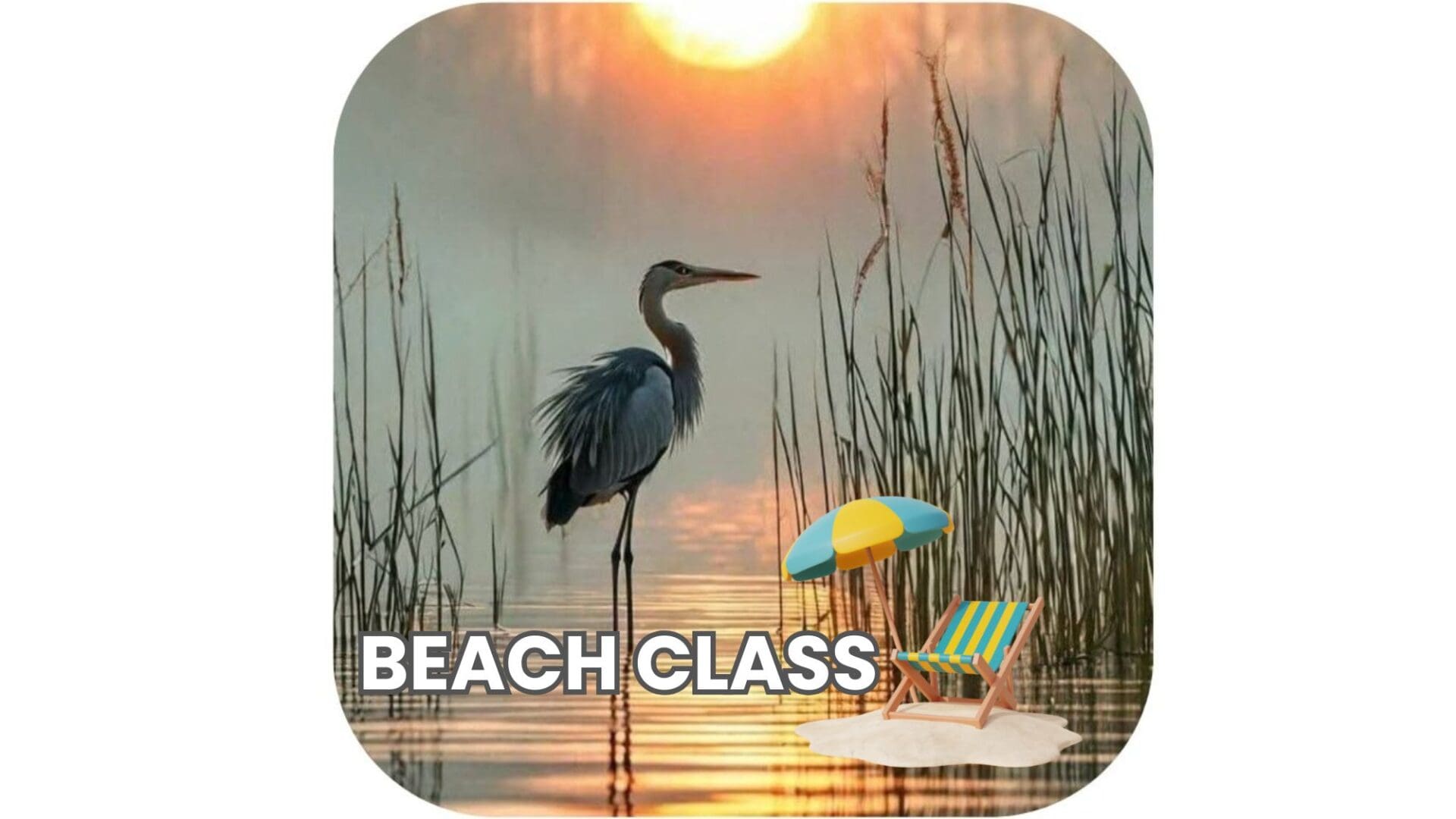 Sunset with a heron and colorful chairs by the water.