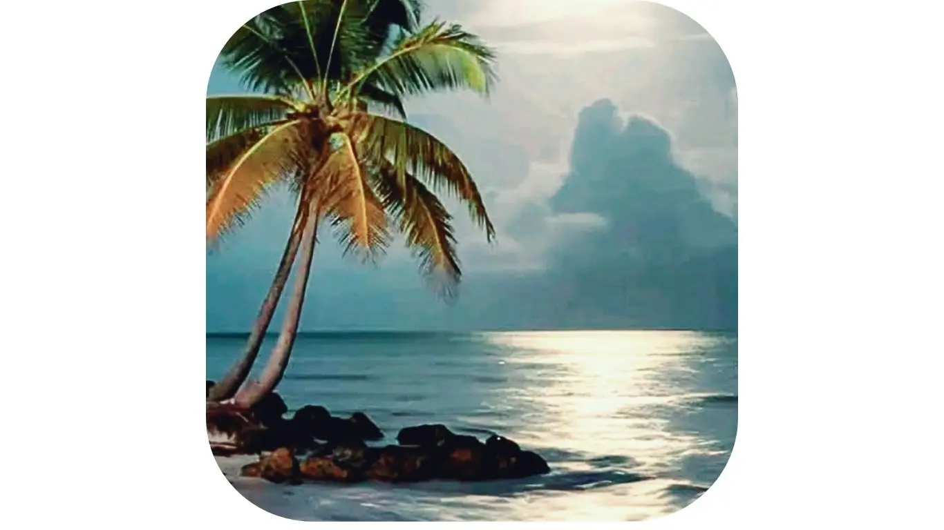 July 10_ BEACH 4-6_30pm July 10_ BEACH 4-6_30pm