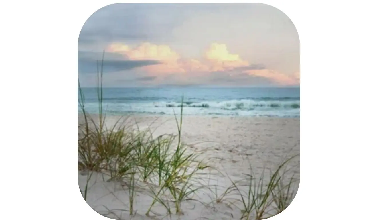 June 6; BEACH 5-7 pm June 6; BEACH 5-7 pm