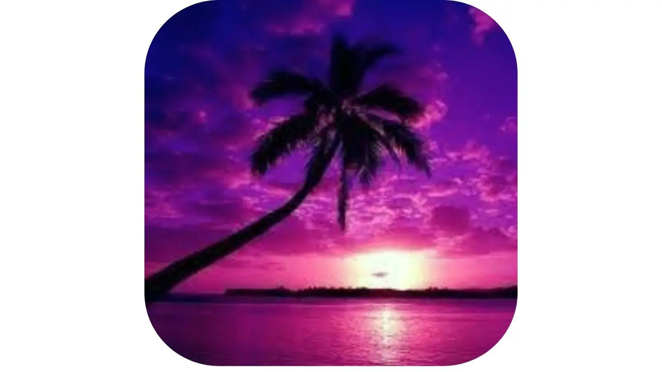 June 7; BEACH 4-6pm June 7; BEACH 4-6pm