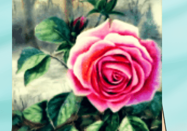 Painting of a pink rose on easel.